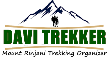Davi Trekker